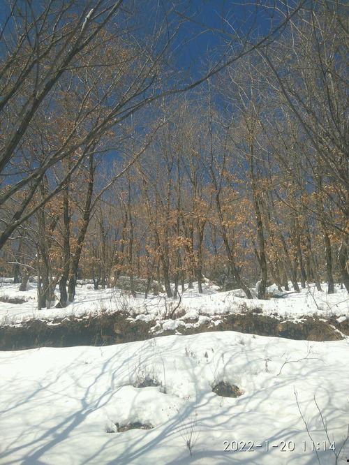 冬天刮风的图片,冬日风起时